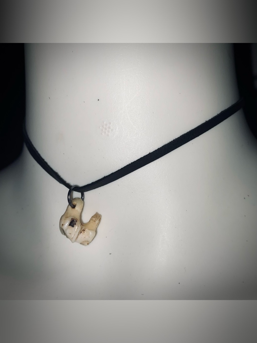 Deer tooth choker